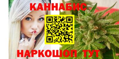 индика Моздок