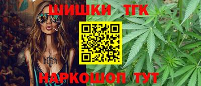 индика Моздок