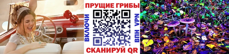 Псилоцибиновые грибы мицелий  Пятигорск 